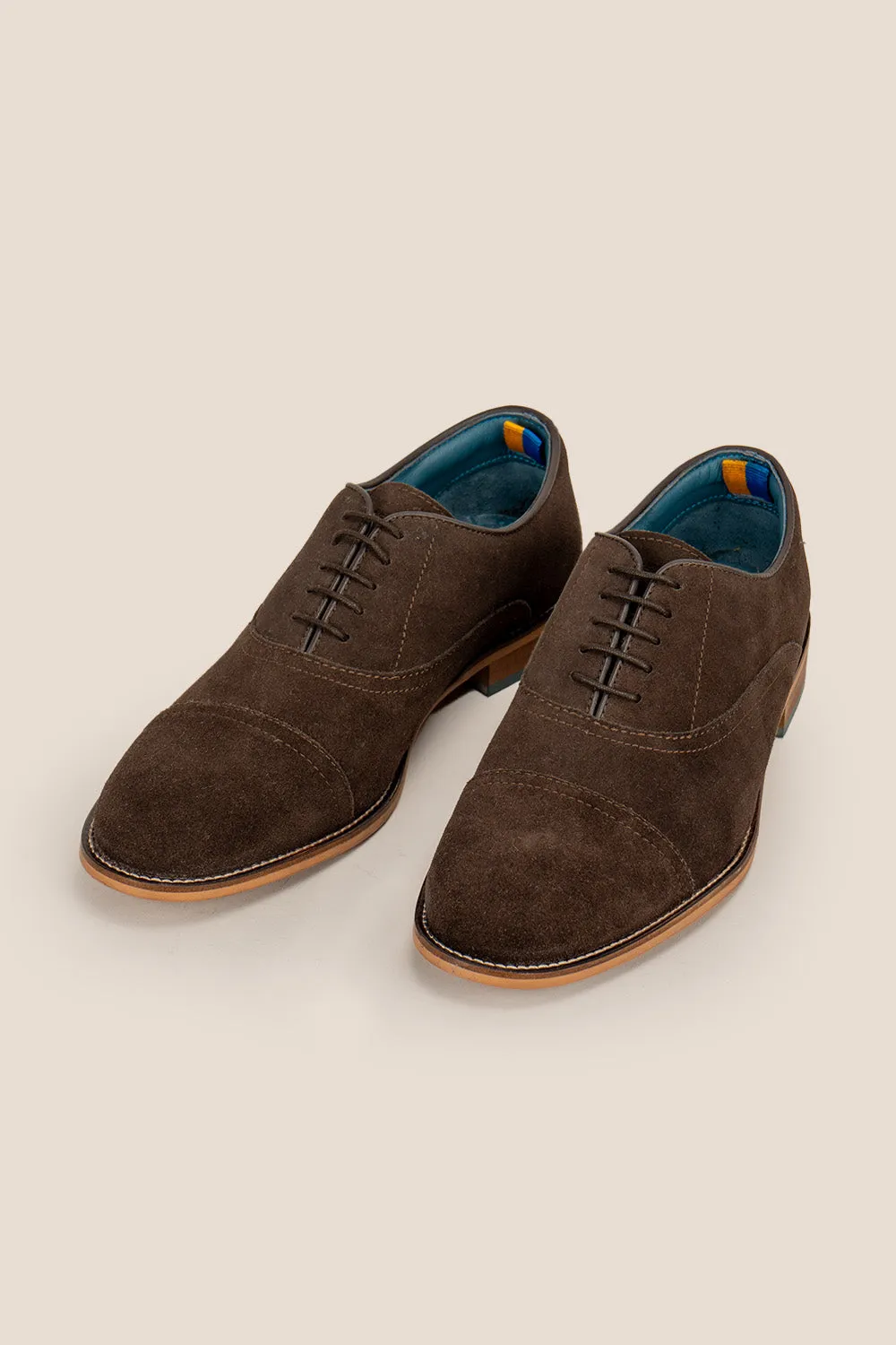 William Brown Suede