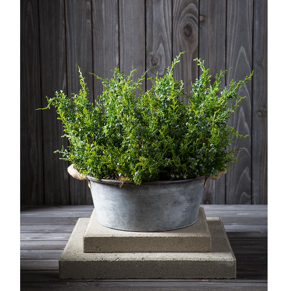 18" Juniper Spray w/Berry - Image 2