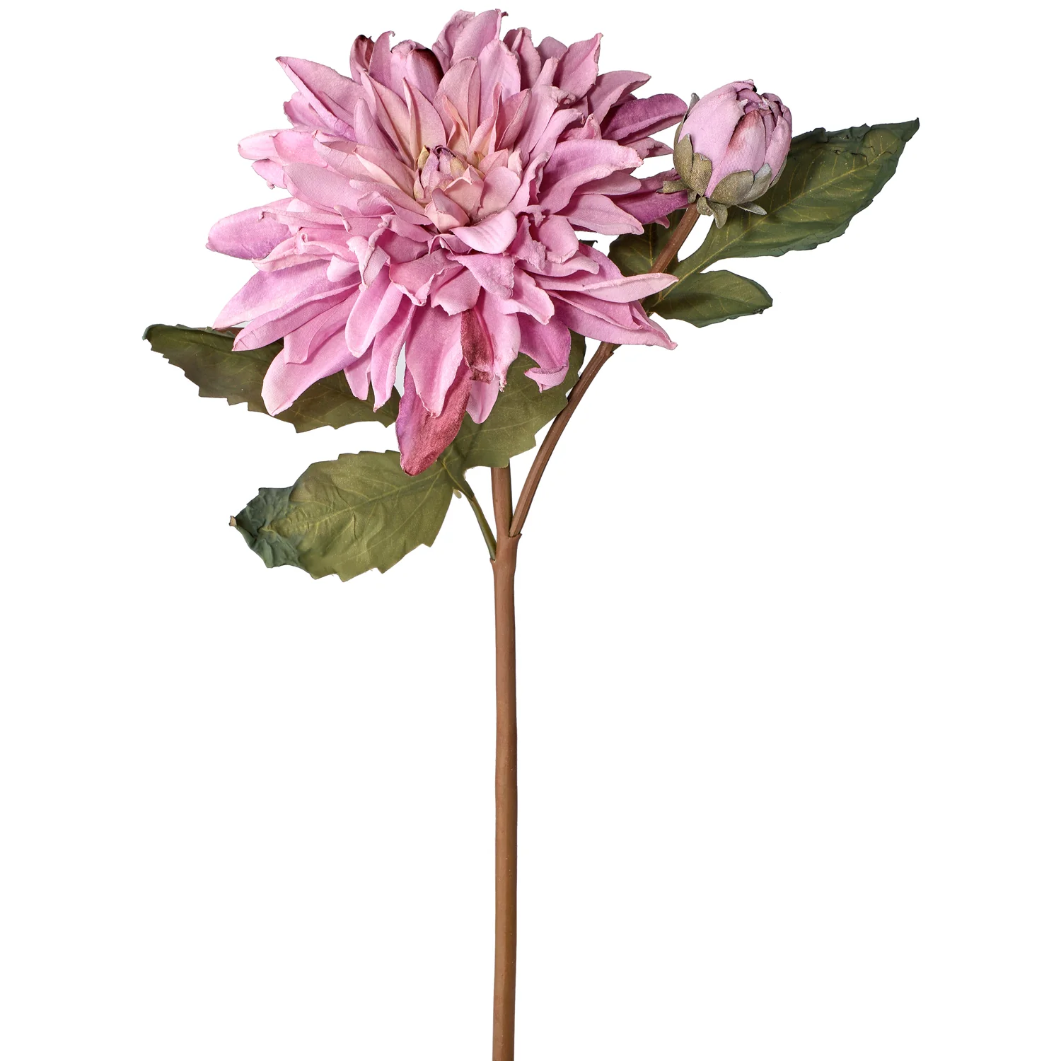 21" Just Dried Dahlia & Bud Spray (sold individually) - Image 2