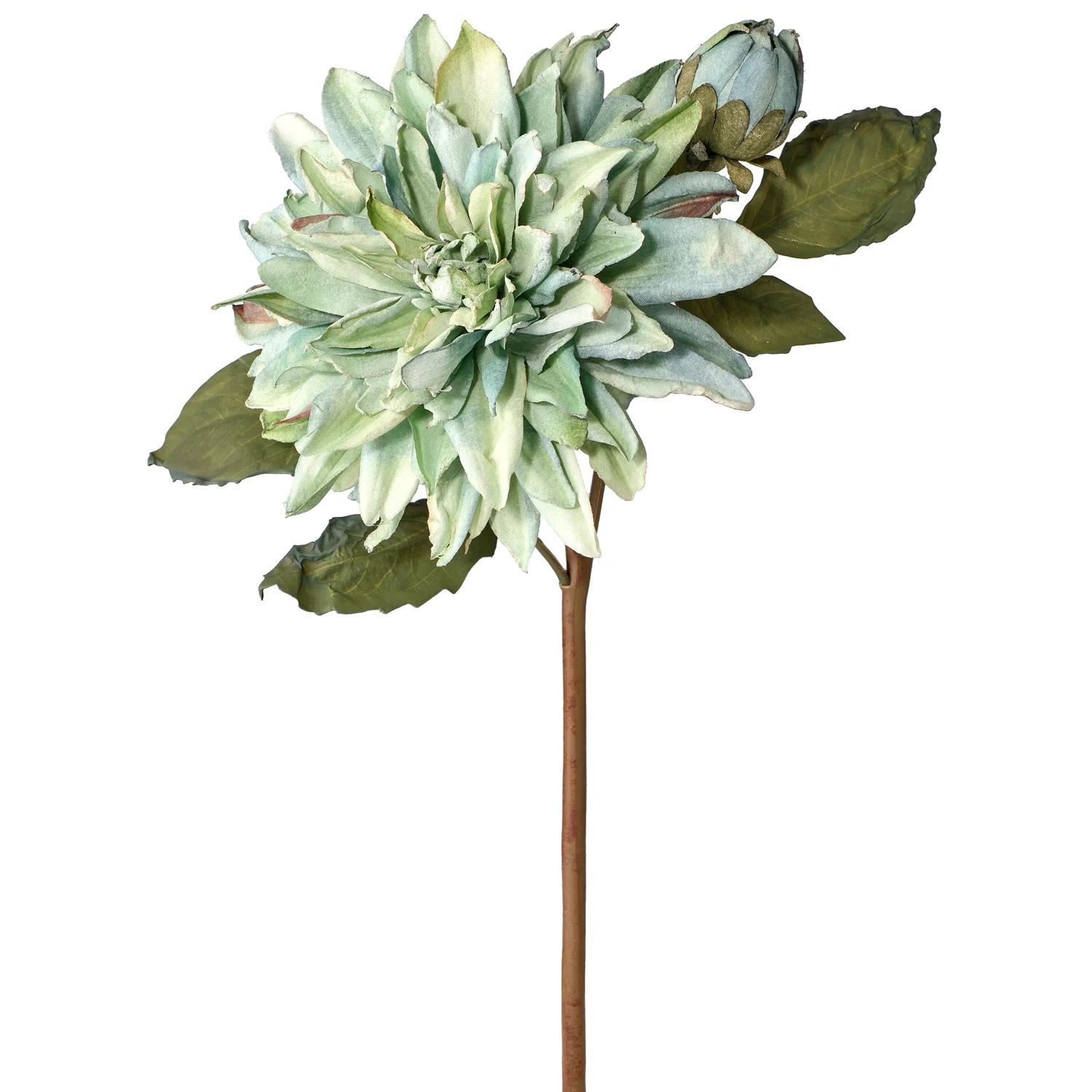 21" Just Dried Dahlia & Bud Spray (sold individually) - Image 3
