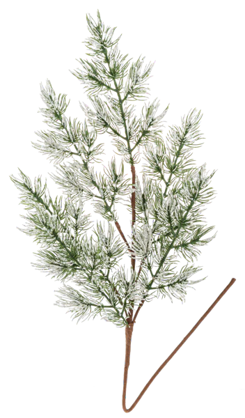 30" Snow Covered Pine Spray
