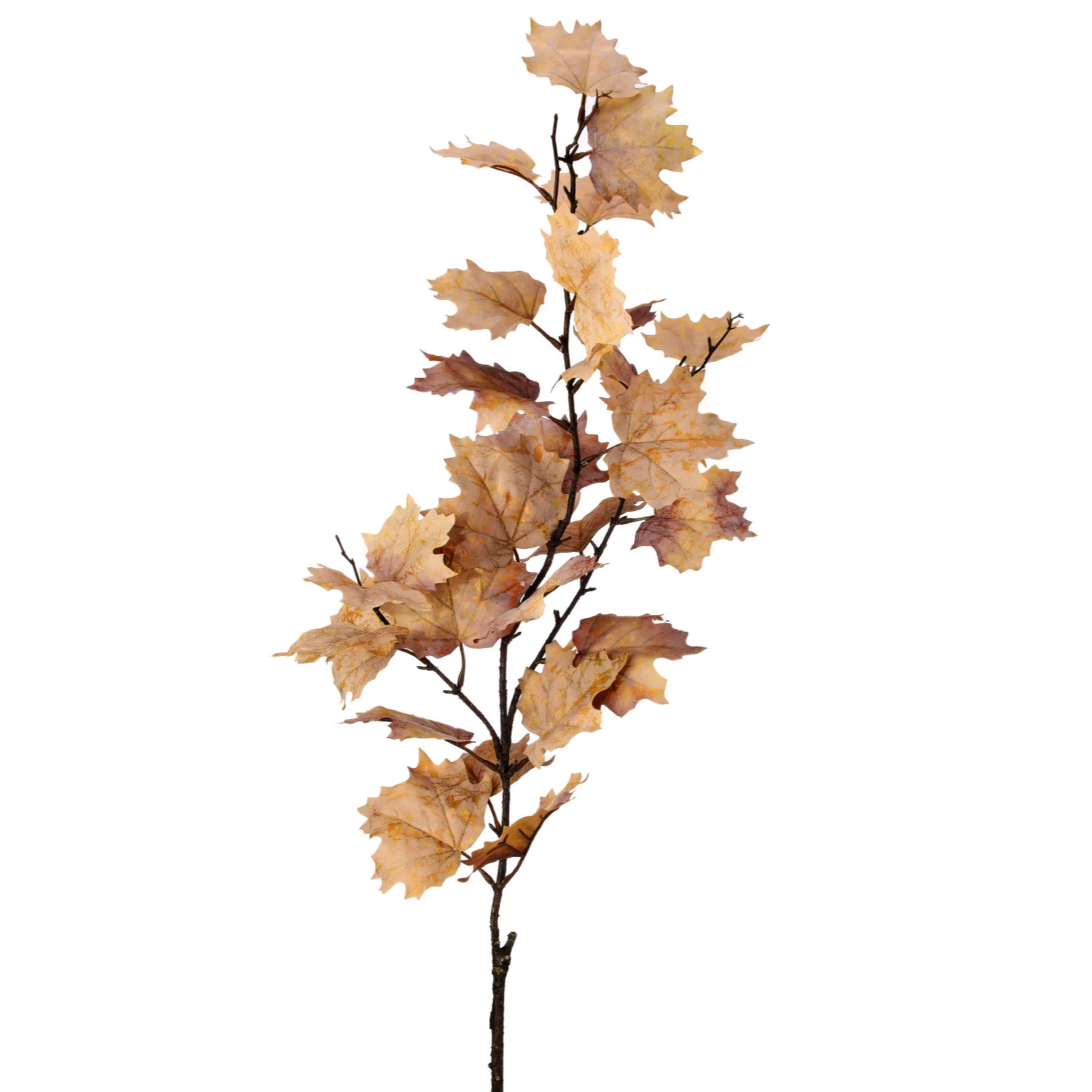 47" Northern Vermont Maple Spray (Cream) - Image 2
