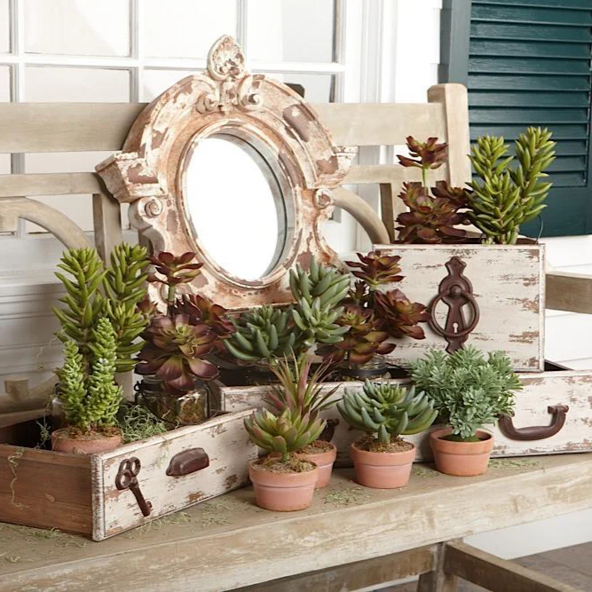 5.5" Green Succulent in Clay Pot - Image 2