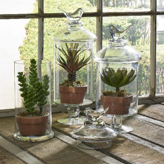 5.5" Green Succulent in Clay Pot - Image 3