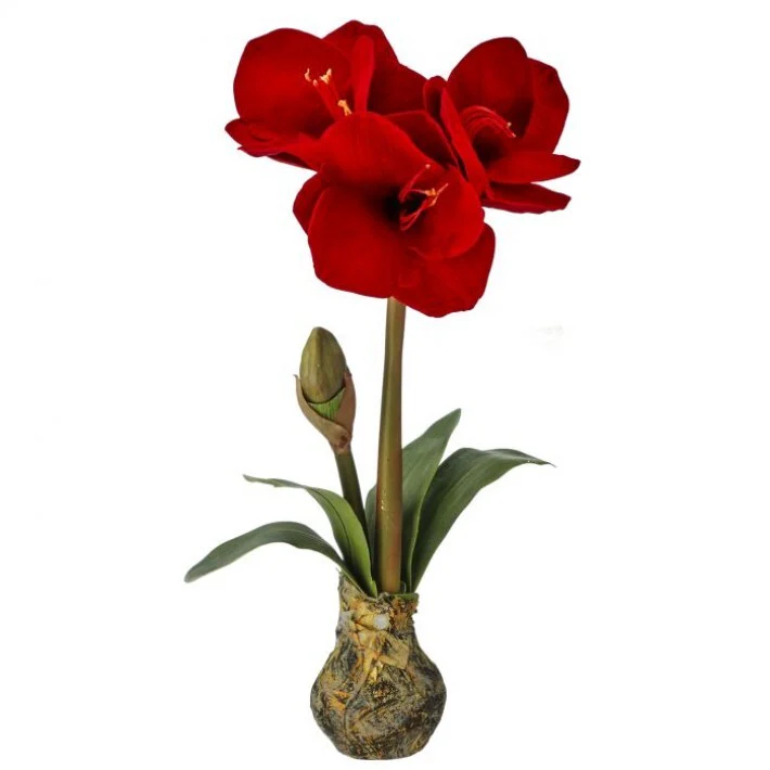 Amarylis Stem W/ Bulb, 21"