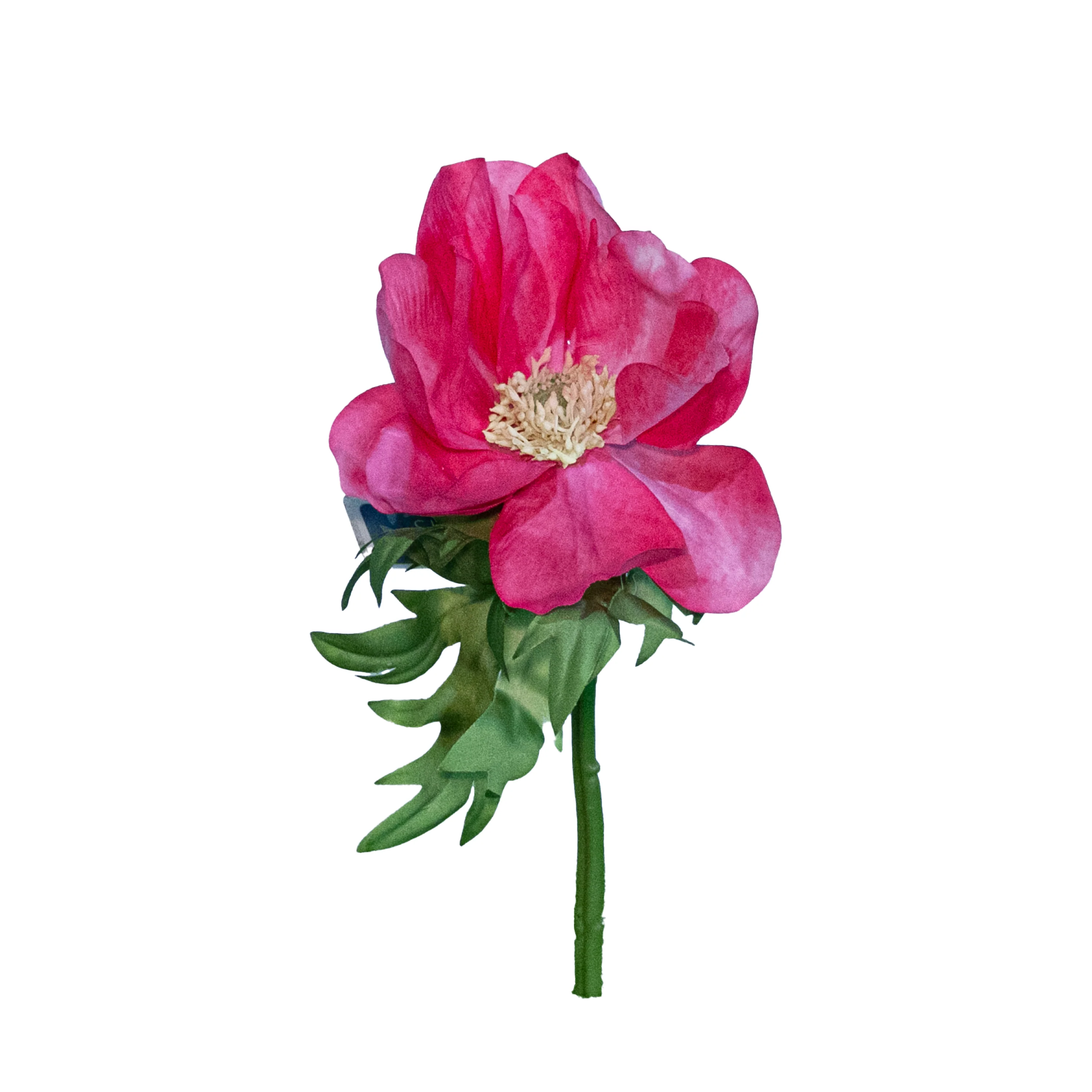 Anemone Spray, Dark Pink, 17.5"