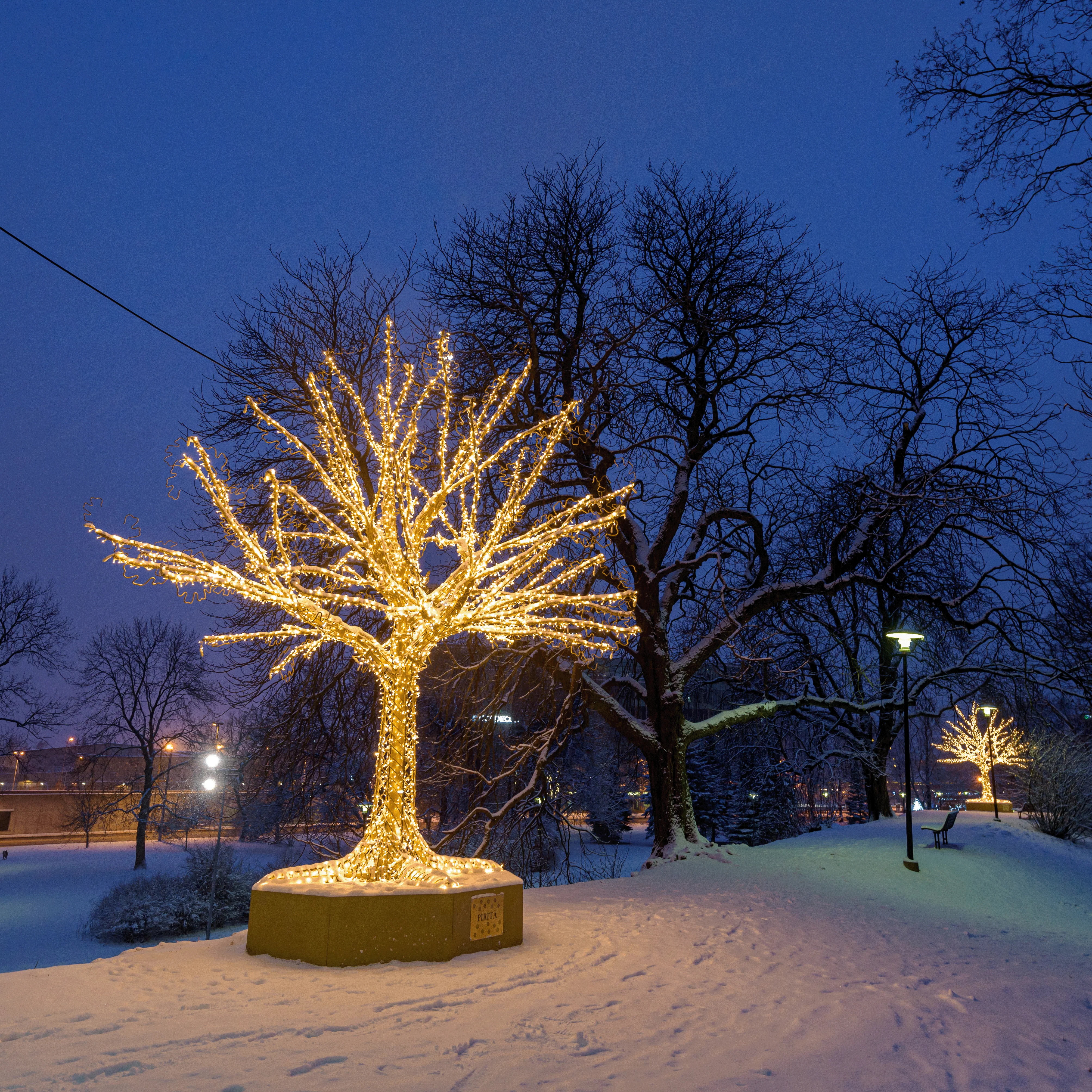 Giant Artificial Tree Decoration, LED Lit w/Fiberglass (Warm White / White), 217" - Image 3