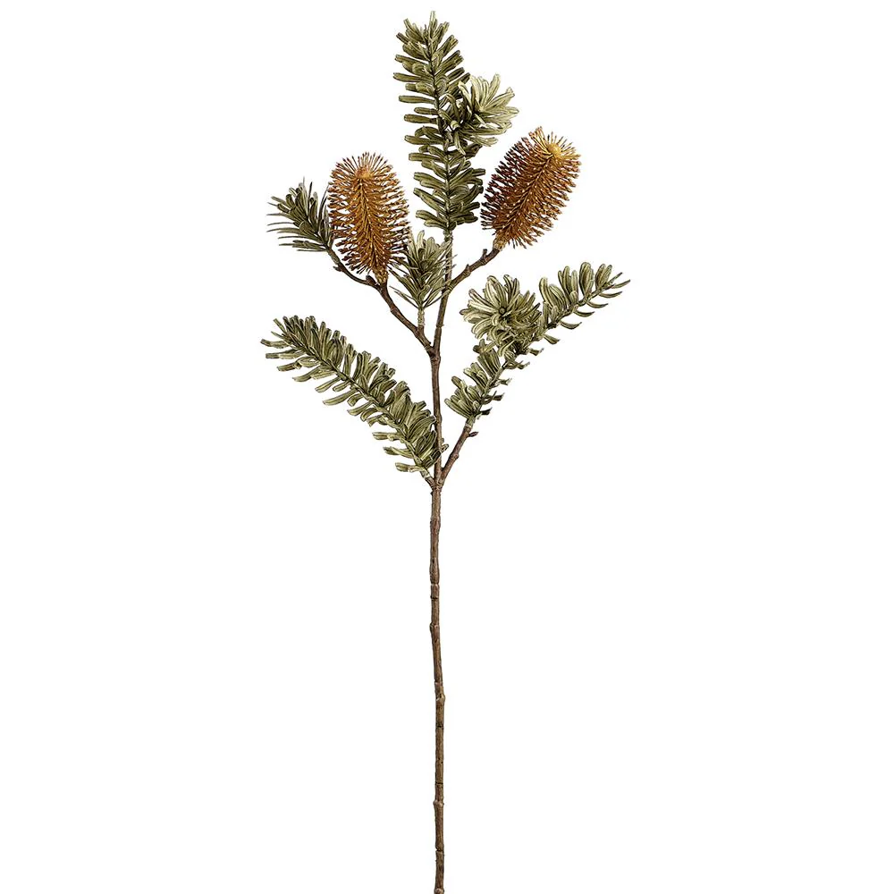 Banksia Spray, 26" (Brown)