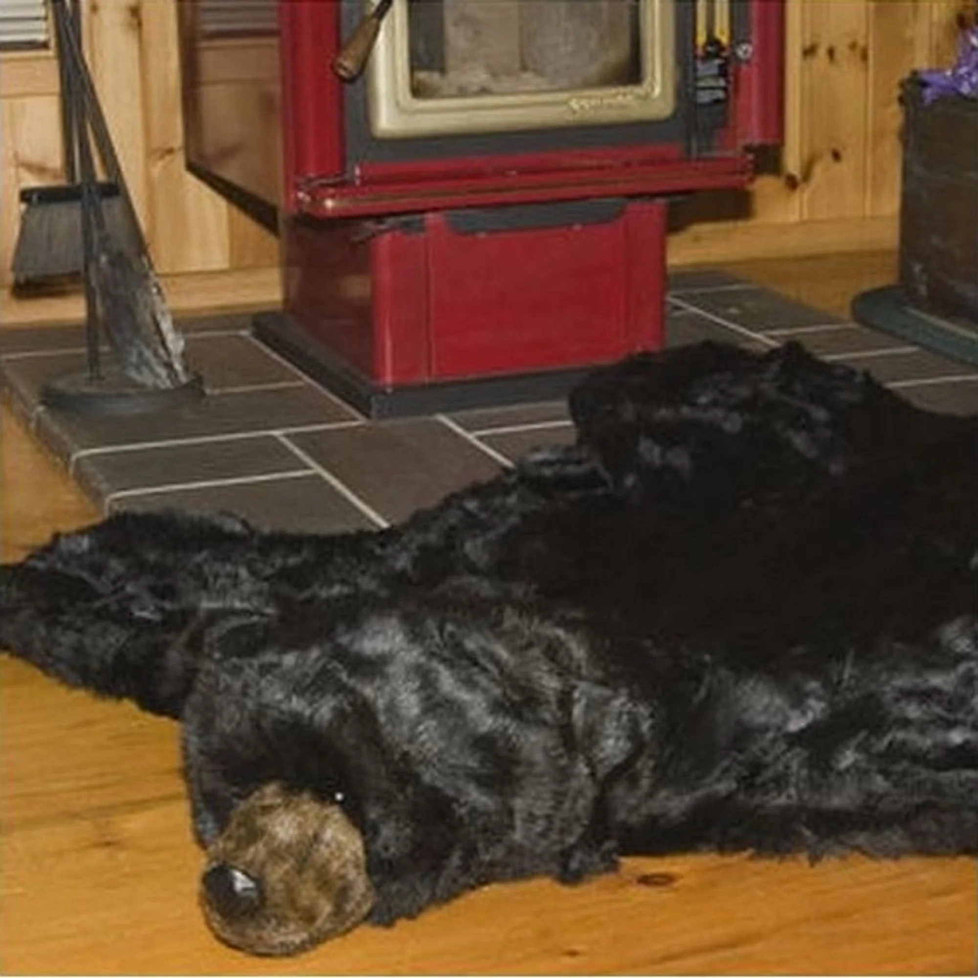 Black Bear Area Rug, 60 x 50" - Image 4