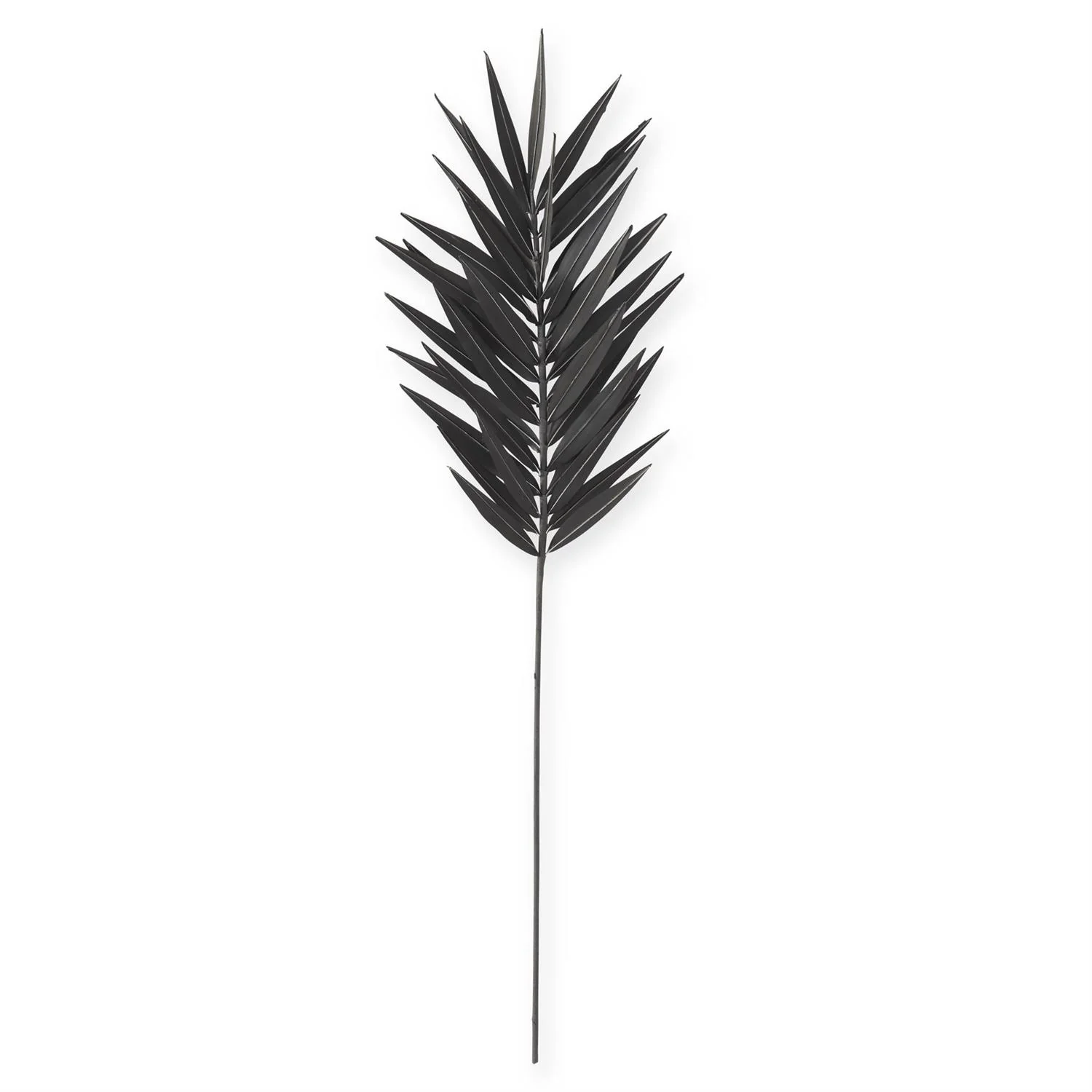 Black Palm Stem, 43"