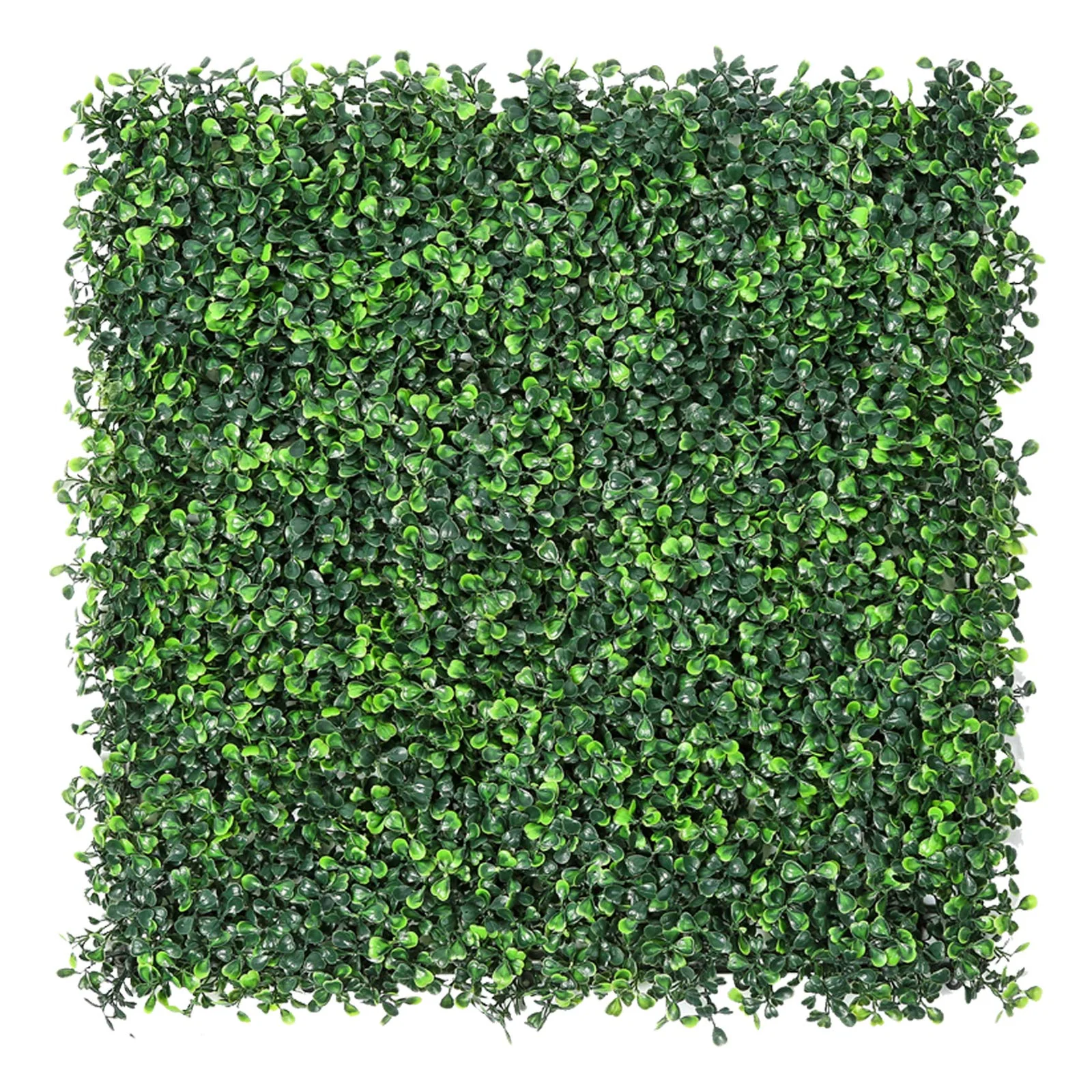 Artificial Plant Wall – Boxwood Panel (20in x 20in)