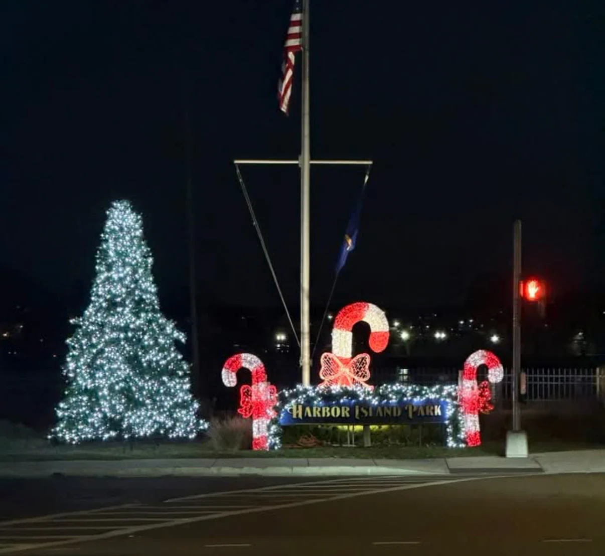 Giant Organic Candy Cane, LED Lit, 9 ft - Image 2
