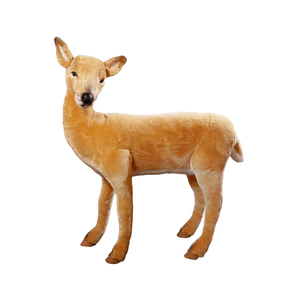 Doe deer, standing.