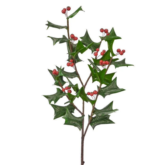 Fresh Cut Holly Spray, 30"