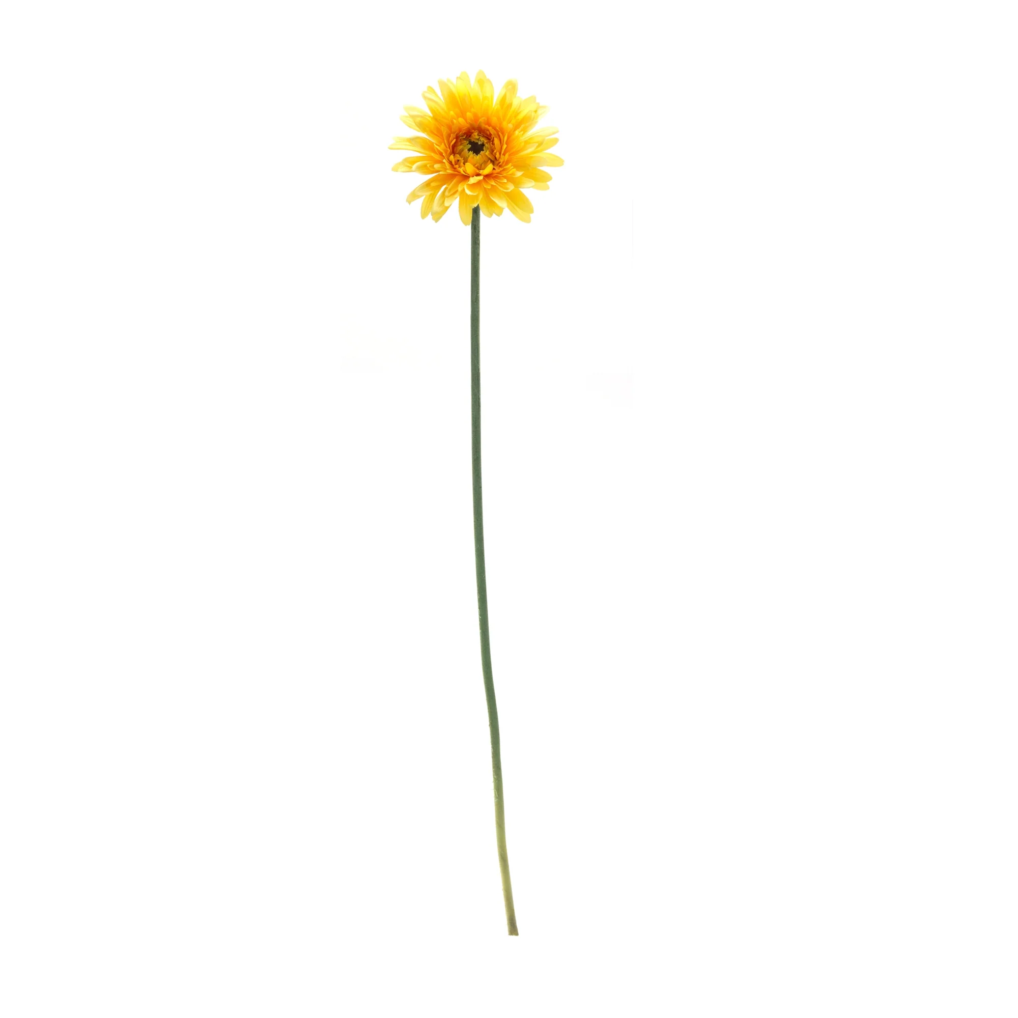 Gerbera Daisy Stem, 22”H - Image 2
