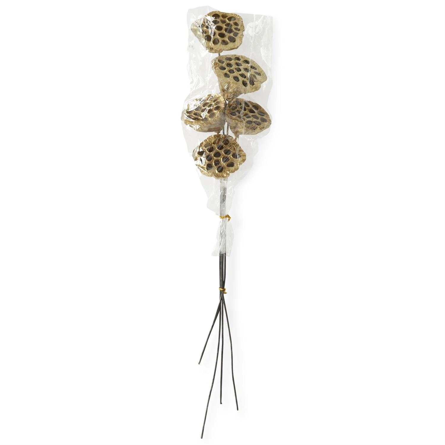 Gold Lotus Seedpod, 21" - Image 3