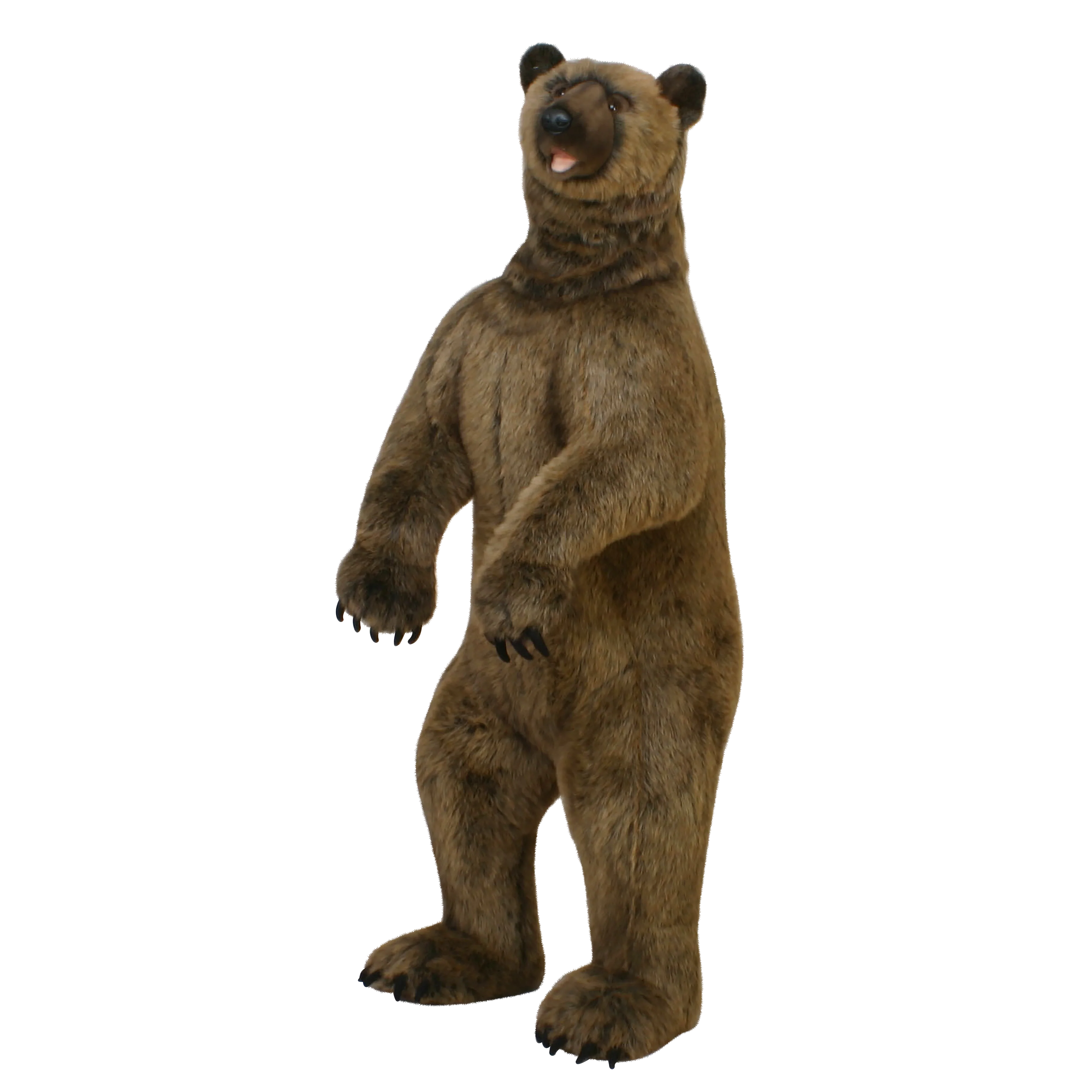 Grizzly Bear 59"