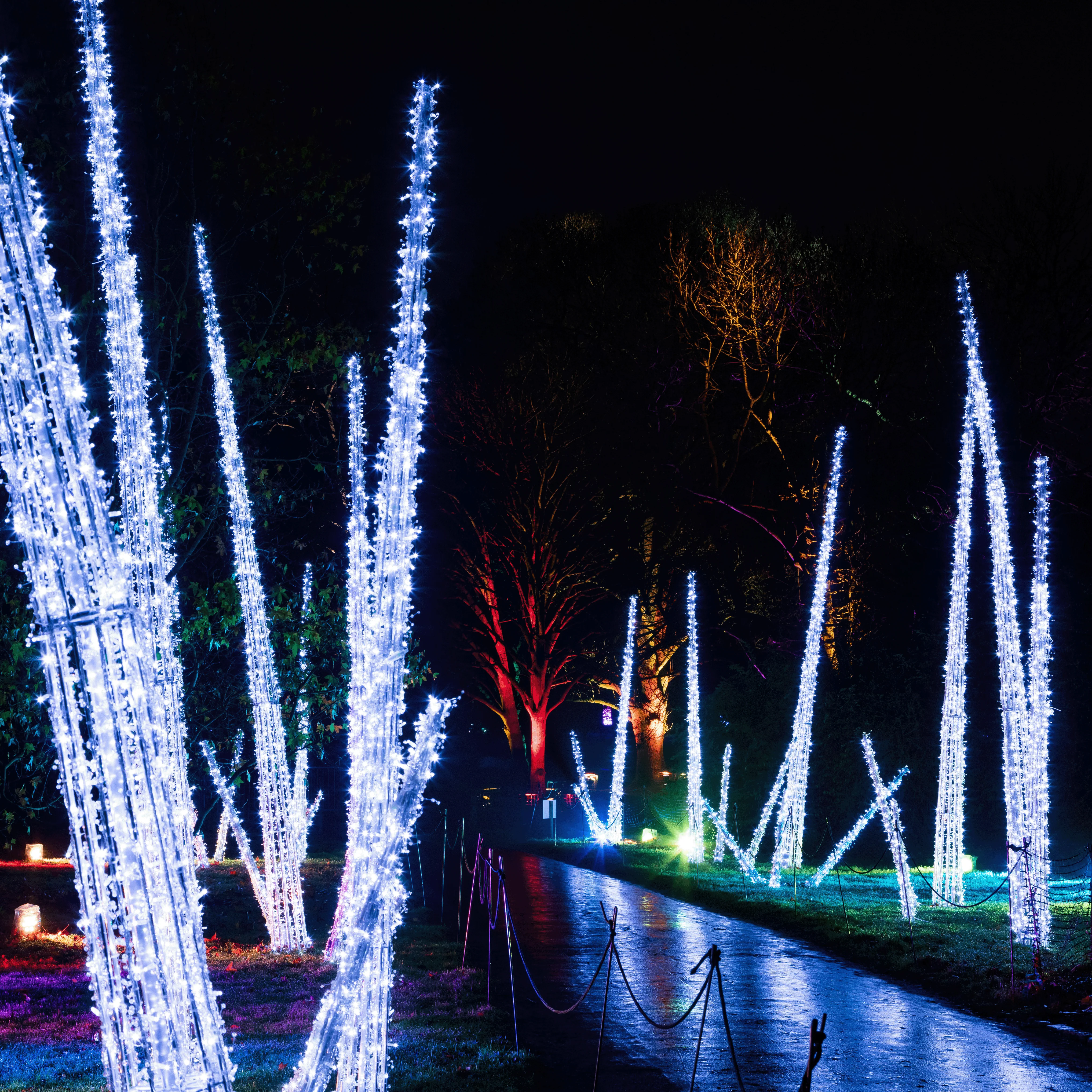 Large Ice Thorn, LED Lit, 157" - Image 2