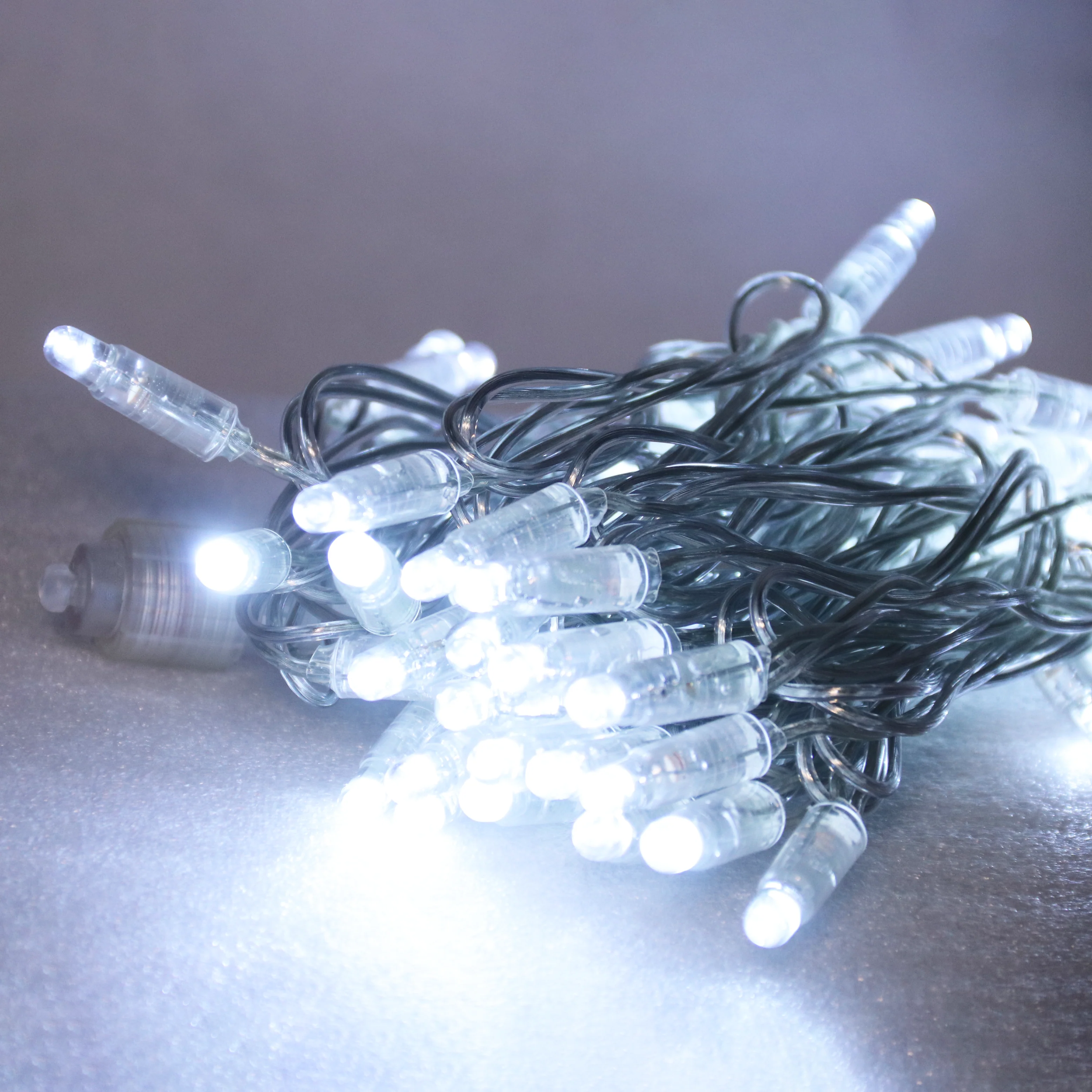 LED Flashing String Lite LEDPLR-50-120VTR-WH-FL