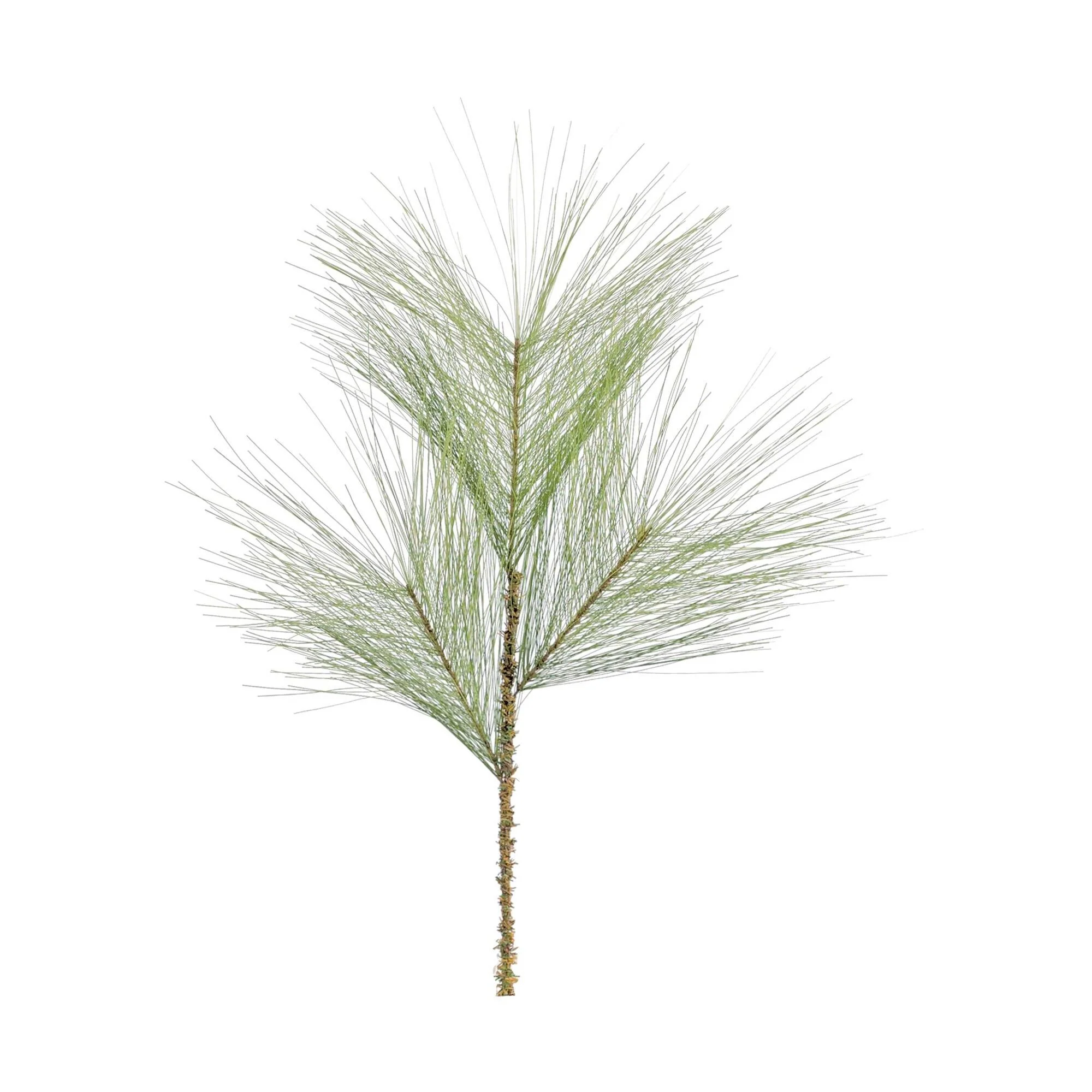 Long Needle Pine Spray, 20" (PE, Green)