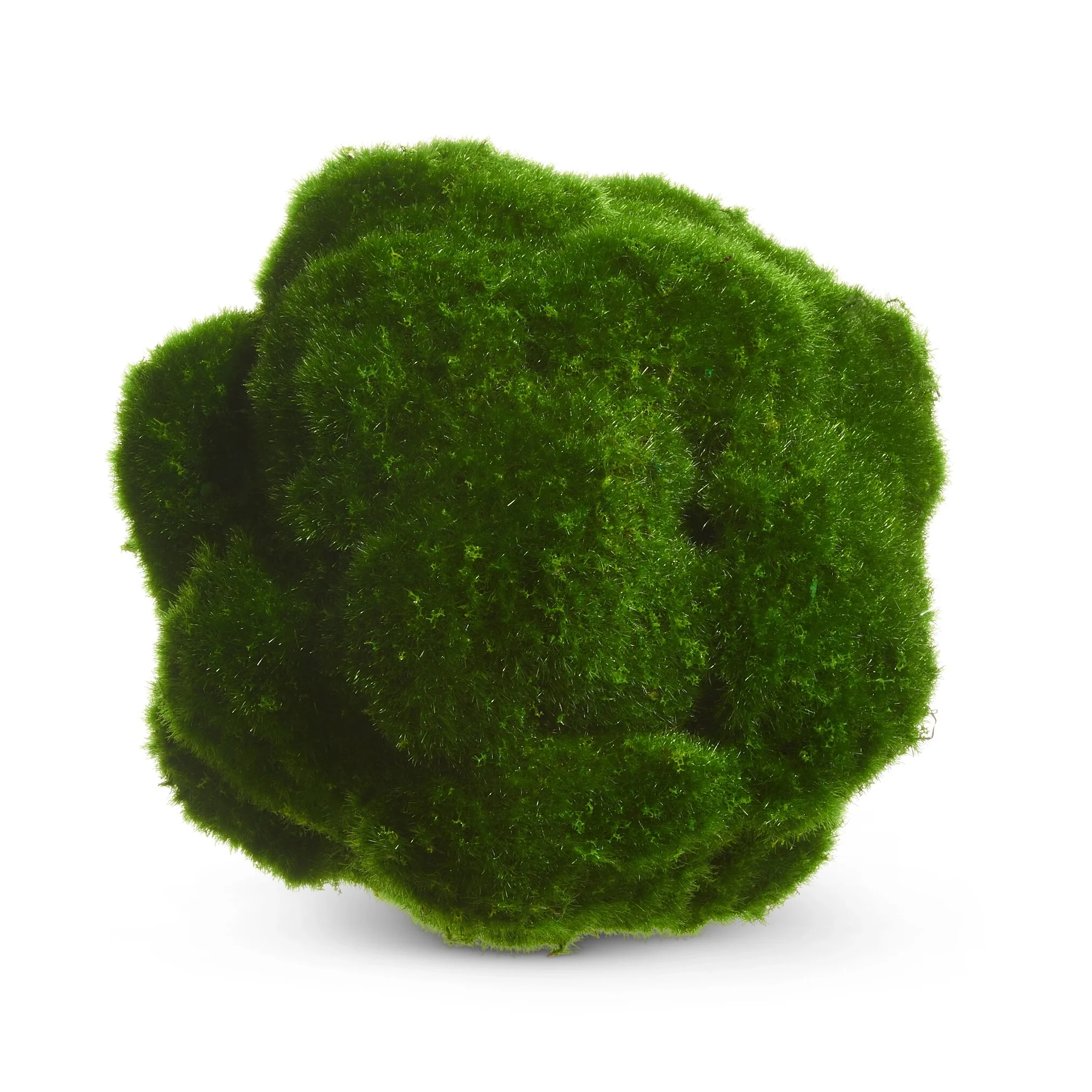 Topiary Décor
