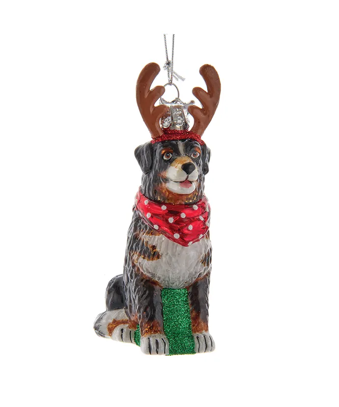 Noble Gemsâ„¢ Bernese Mountain Dog With Antlers Glass Ornament