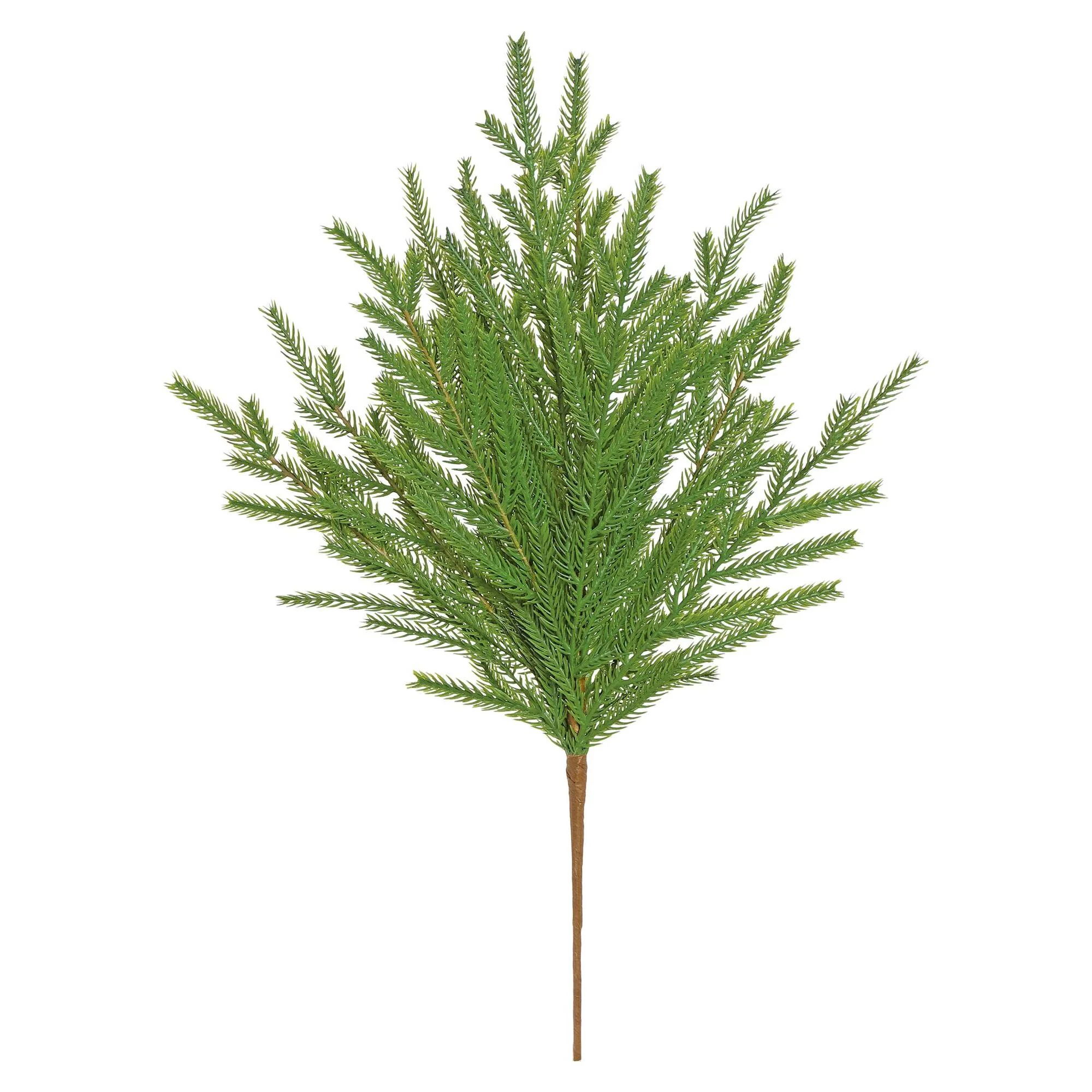 Norfolk Pine Bush, 20" (Green)