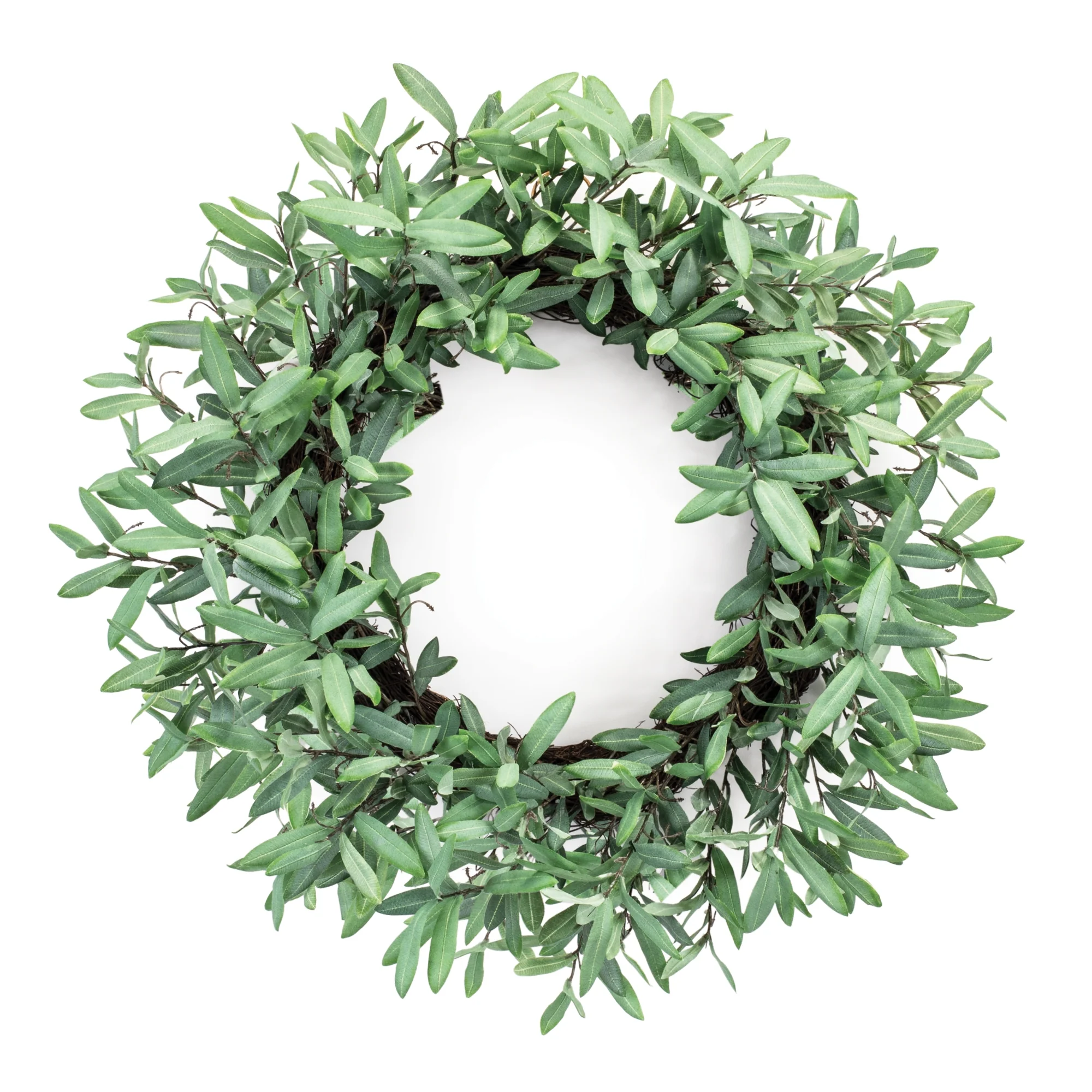Olive Leaf Wreath, 28"