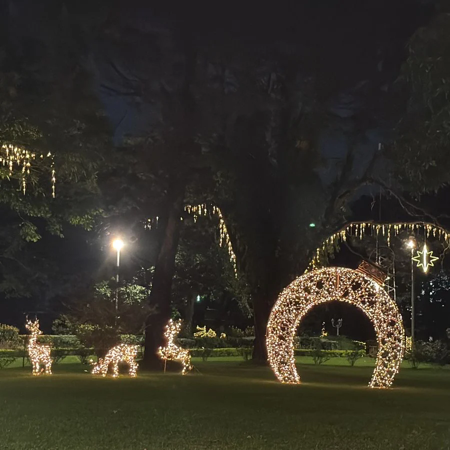 Giant Lighted Ornament Gate, LED Lit (Warm White), 157" - Image 3