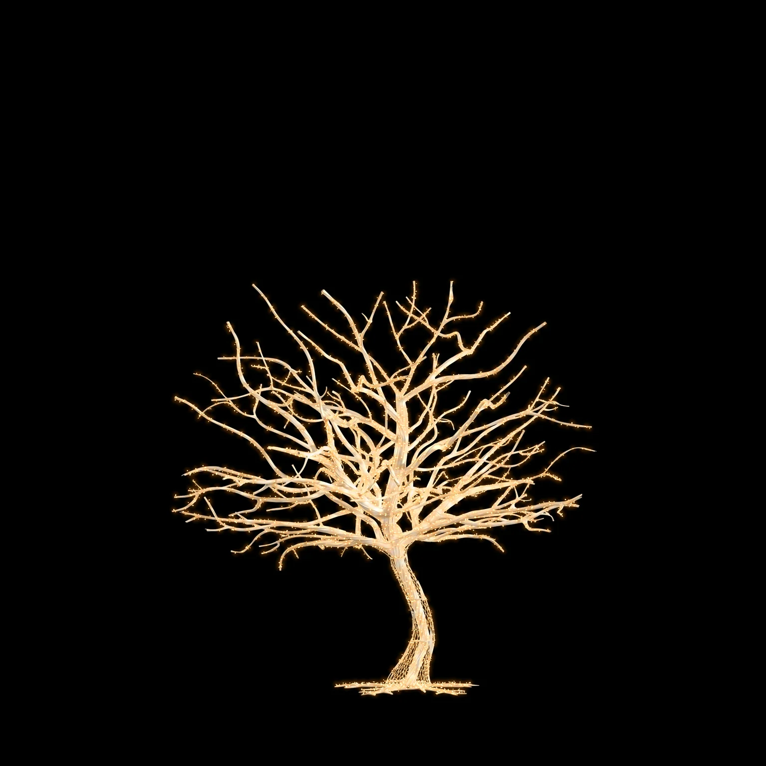 Paradise Tree, LED Lit, 79" / 197"