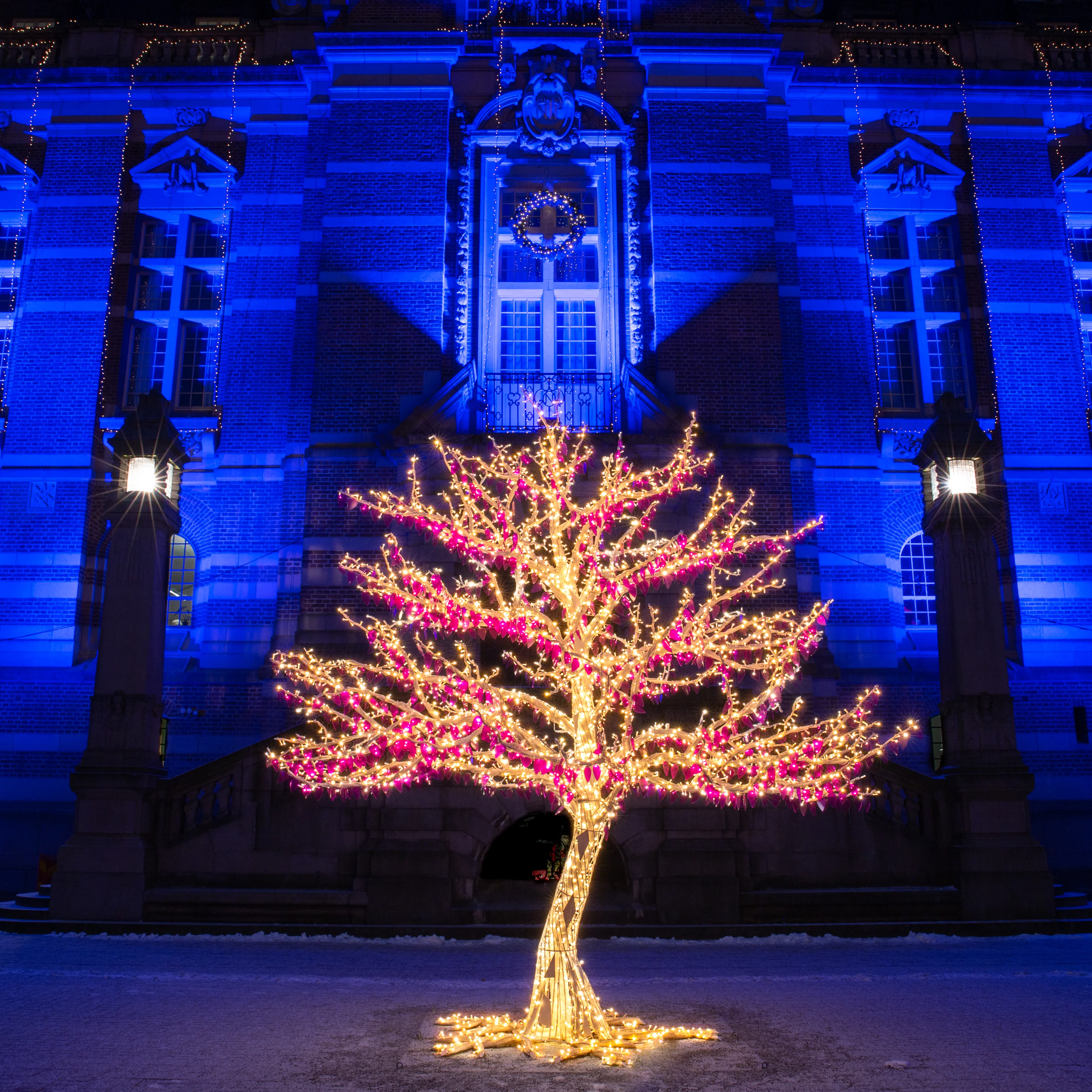 Large Paradise Tree, LED Lit (Warm White), 11.5ft - Image 2