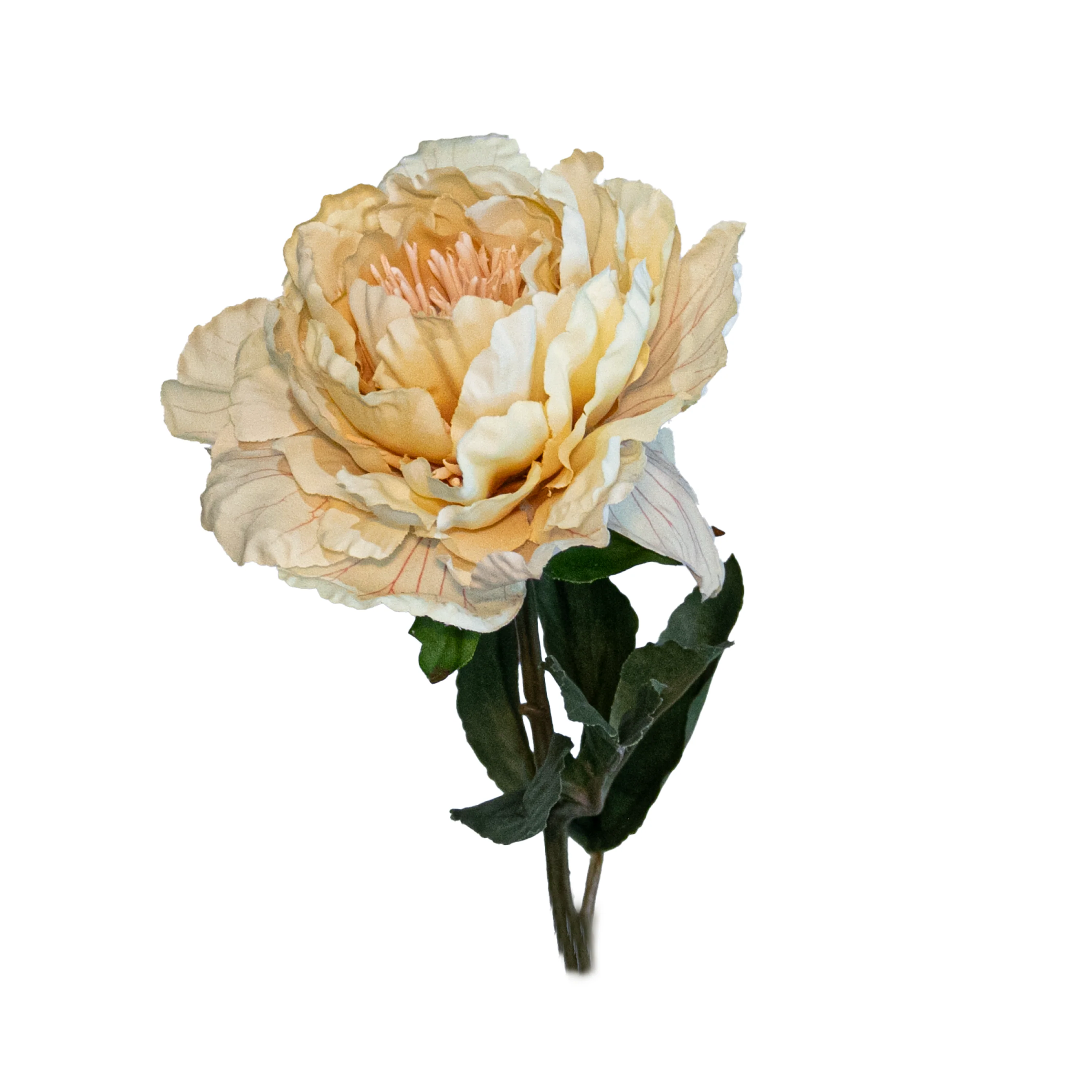 Peony Spray, 25" (Light Yellow)