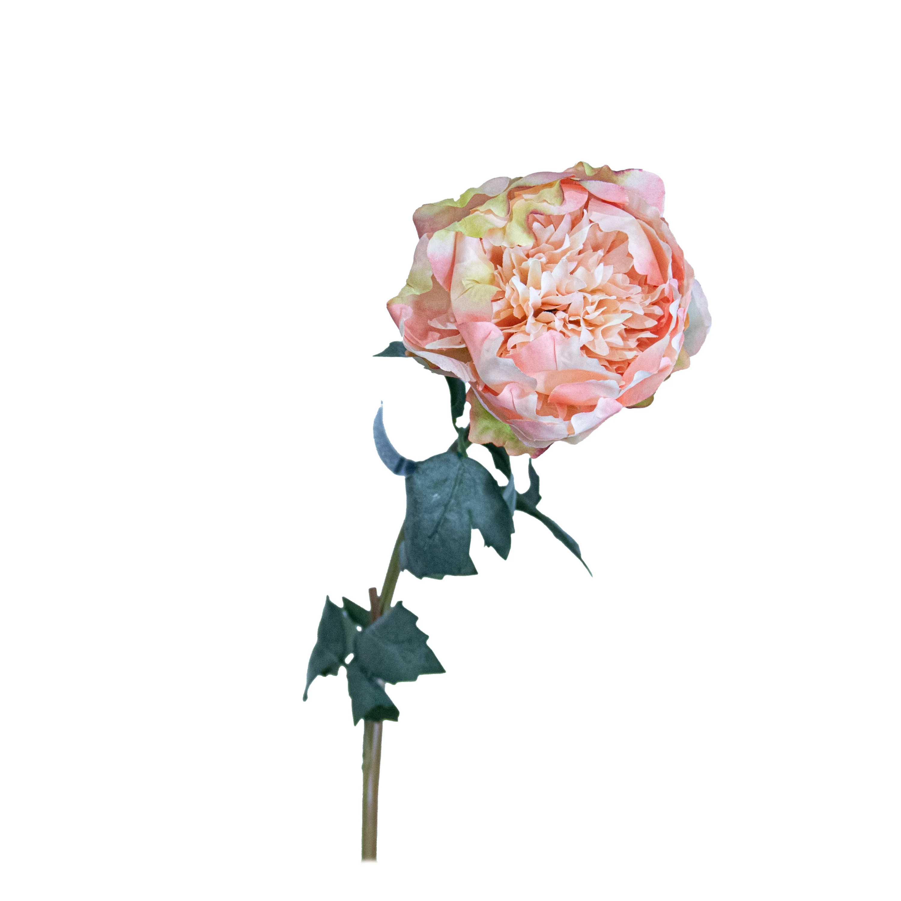 Peony Spray, Pink, 30.7"