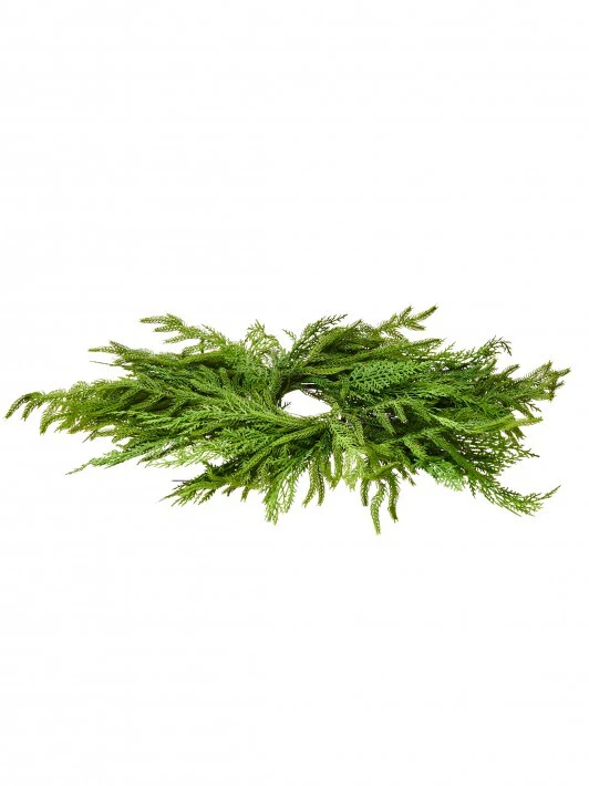 Real Touch Cedar/Norfolk Pine Centerpiece, 24" (Green)