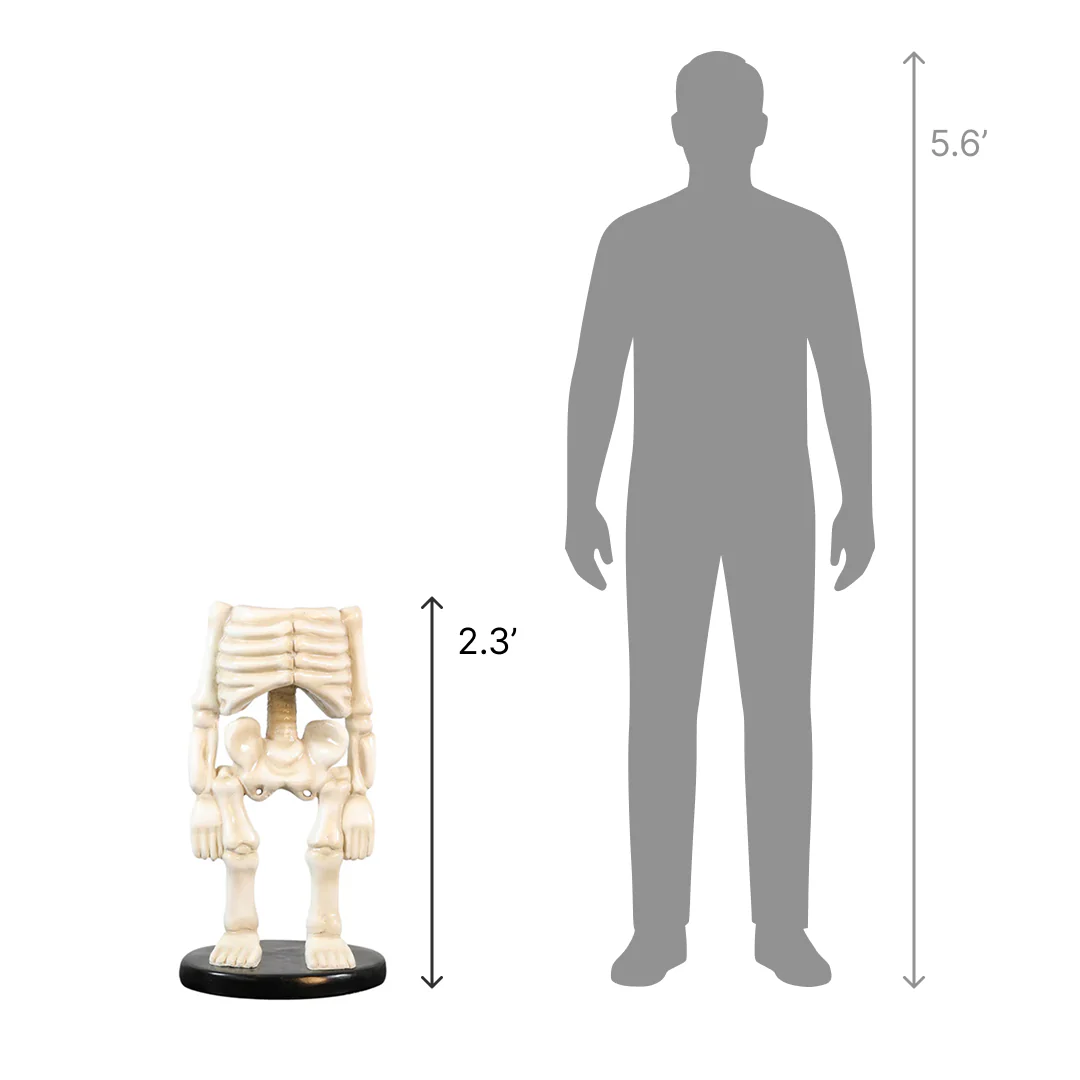 Large Fiberglass Skeleton Body Figure, 28" - Image 2