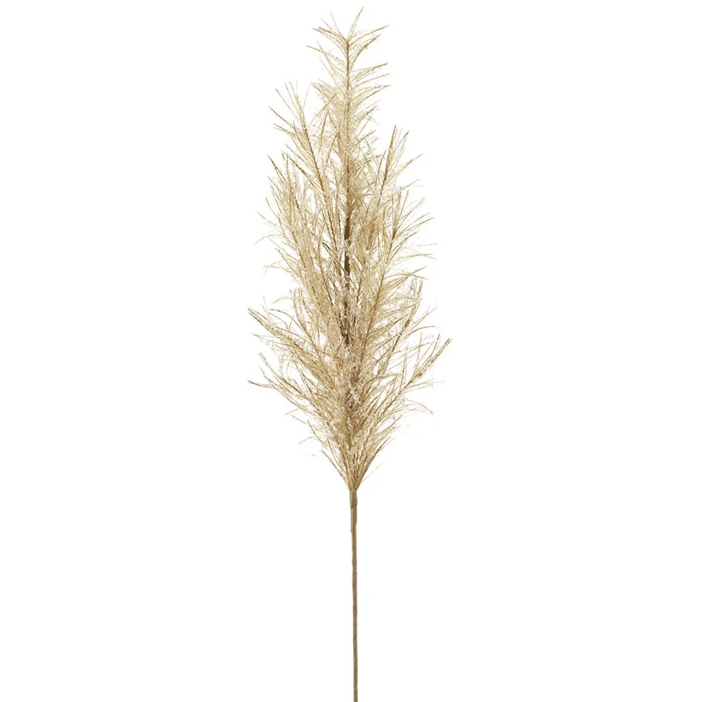 Snowed Pampas Grass Spray, 34.5" (Beige)