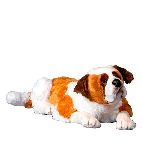 St. Bernard Dog