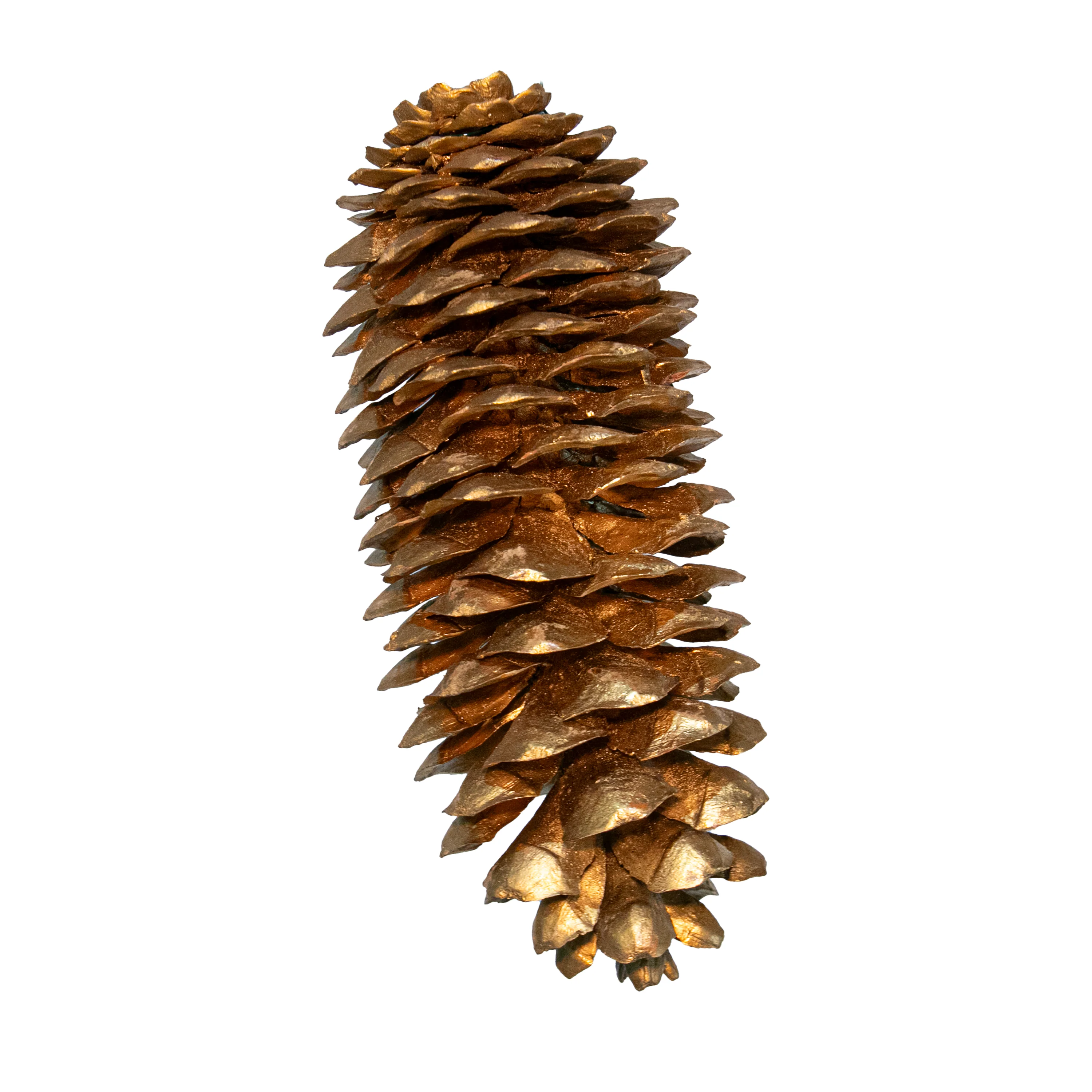 Sugar Cone, Gold, X-Large, 10" - 12"