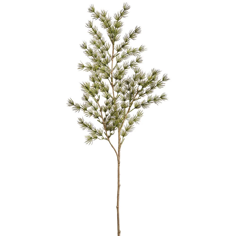 Umbrella Asparagus Spray, 29" (Green)